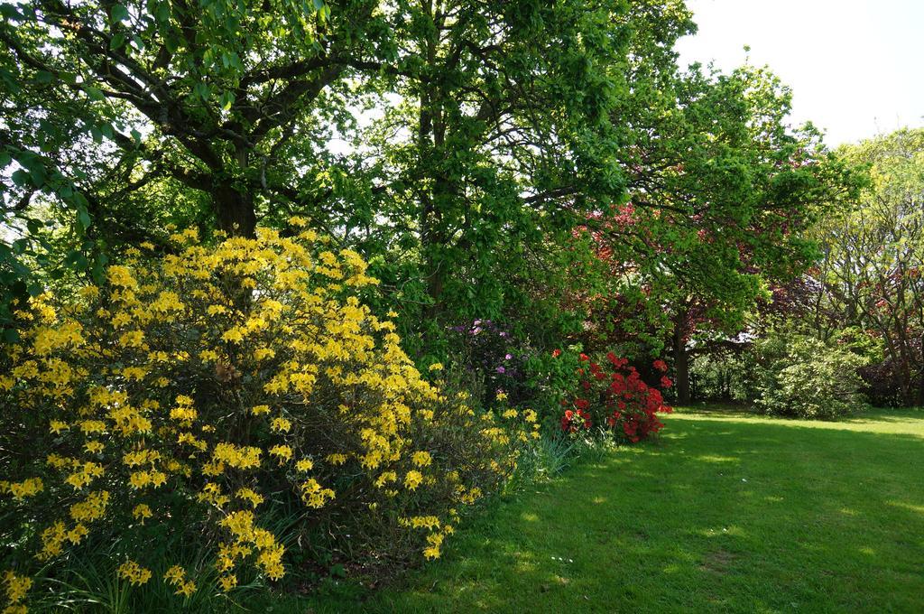 Leyland Country House Lymington Ngoại thất bức ảnh