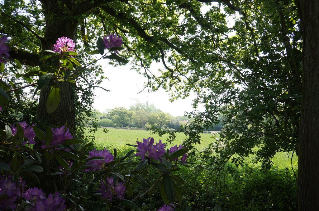 Leyland Country House Lymington Ngoại thất bức ảnh