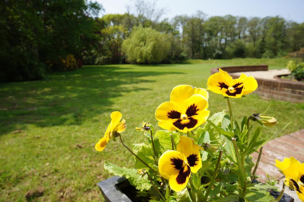 Leyland Country House Lymington Ngoại thất bức ảnh