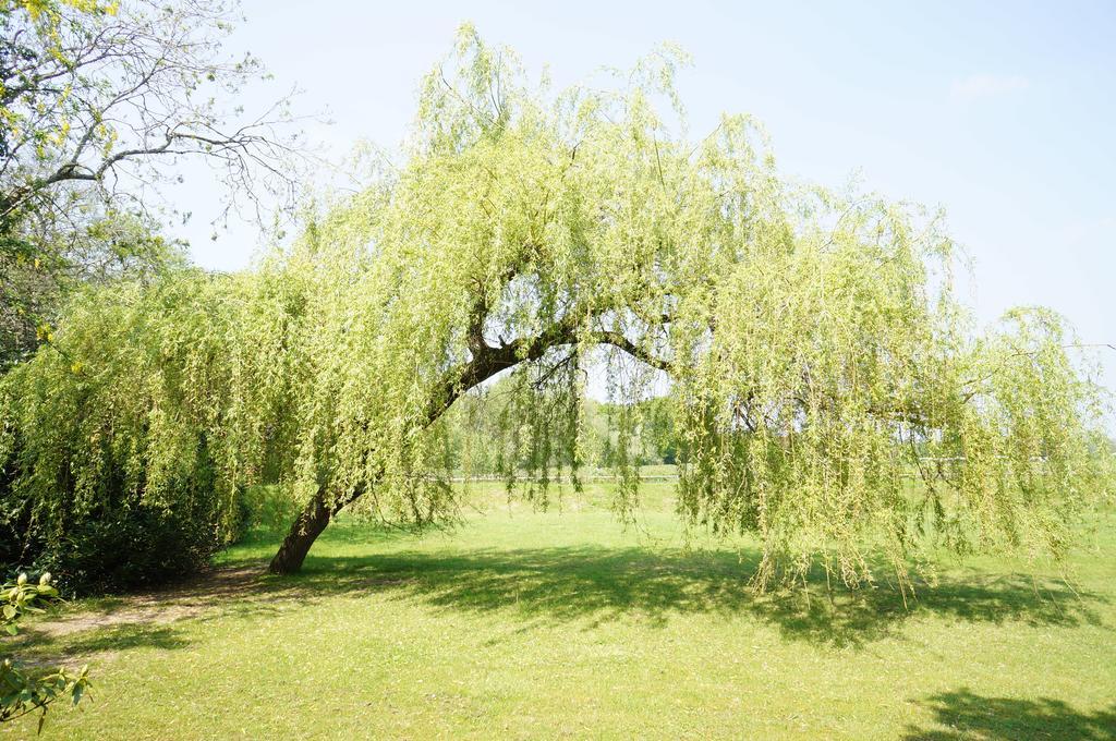 Leyland Country House Lymington Ngoại thất bức ảnh